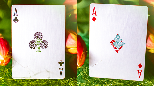 Butterfly Seasons Playing Cards Marked (Spring)