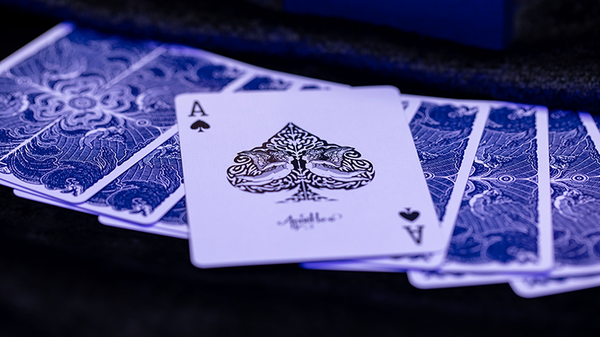 Apostles Playing Cards (Deck and Online Instructions) by Luke Jermay