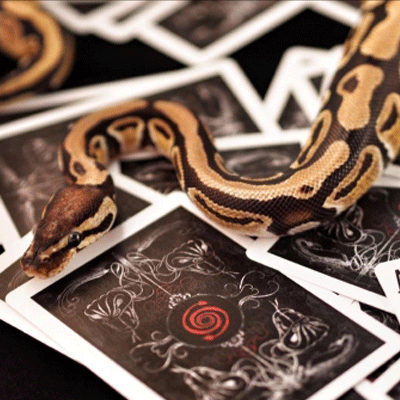 Venom Deck by US Playing Cards